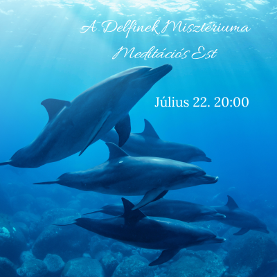 delfinhonlap